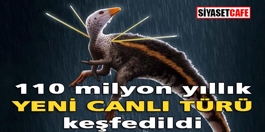 110 milyon yıllık yeni canlı türü keşfedildi