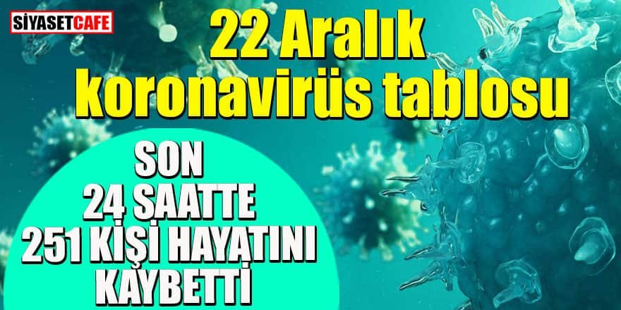 22 Aralık 2020 koronavirüs tablosu açıklandı