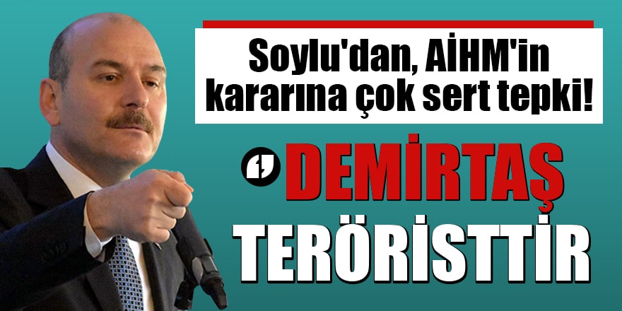 Soylu'dan, AİHM'in kararına çok sert tepki: Selahattin Demirtaş teröristtir