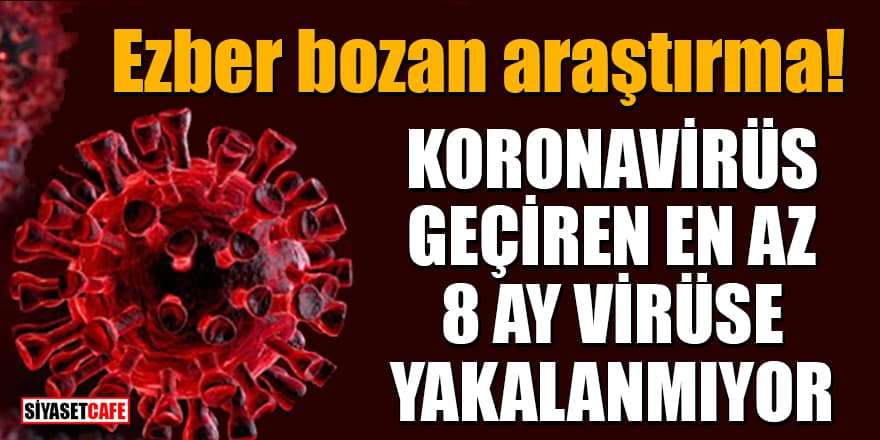 Ezber bozan araştırma: Koronavirüs geçiren en az 8 ay virüse yakalanmıyor