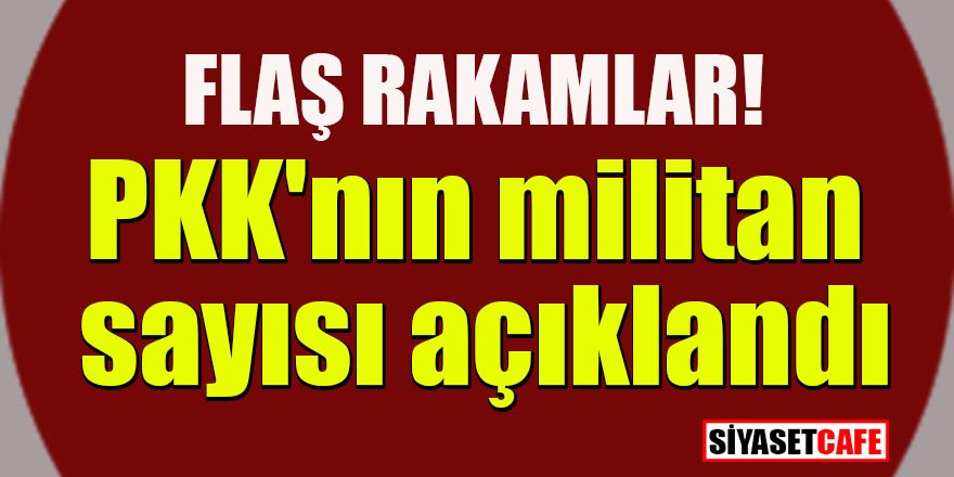 Soylu rakamları açıkladı! İşte PKK'nın militan sayısı