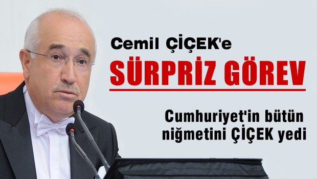 Cemil Çiçek'e sürpriz görev