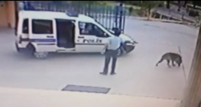 Komiser Yardımıcısı  köpek vurdu