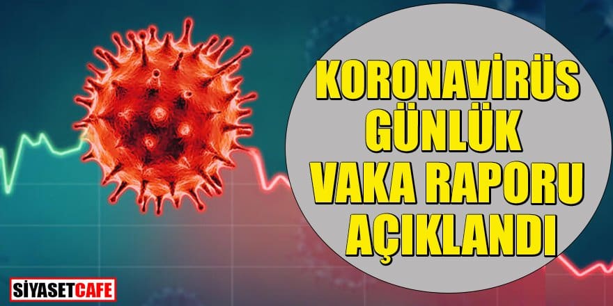 30 Ocak koronavirüs raporu açıklandı