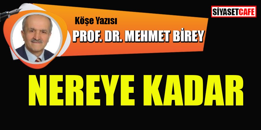 Prof.Dr. Mehmet BİREY yazdı: Nereye kadar