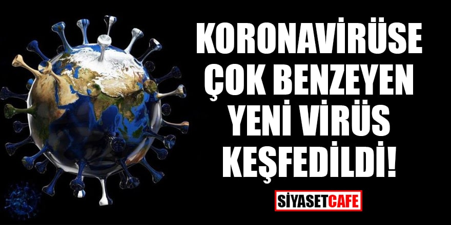 Koronavirüse çok benzeyen yeni virüs keşfedildi!