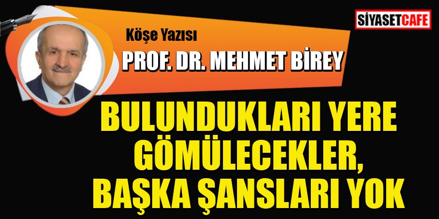 Prof .Dr. Mehmet BİREY yazdı: Bulundukları Yere Gömülecekler, Başka Şansları Yok