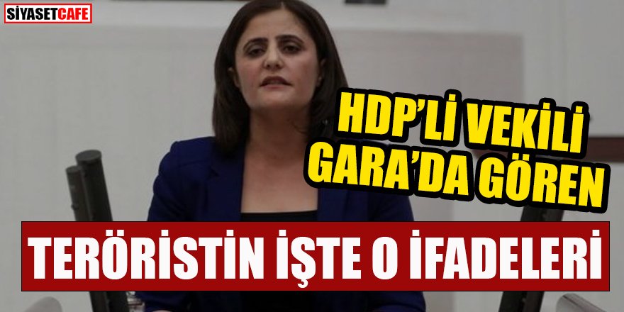 HDP'li vekili Gara'da gören teröristin ifadeleri ortaya çıktı