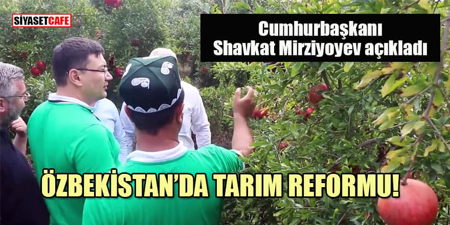 Özbekistan'da tarım reformu