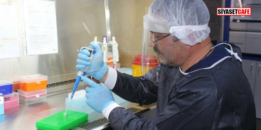 Türk bilim insanları burundan sprey şeklinde Covid aşısı üretiyor