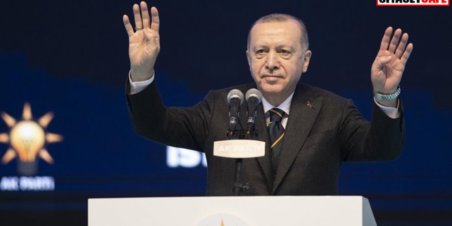 Erdoğan'ın kullandığı 'lebaleb' kelimesinin anlamı ortaya çıktı