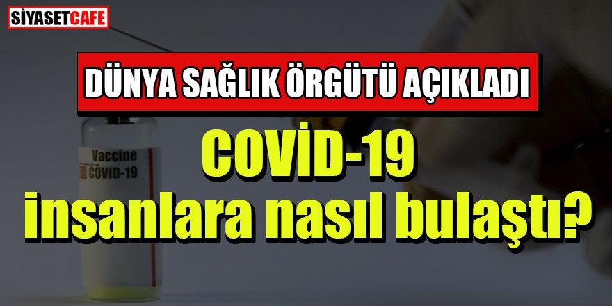 DSÖ açıkladı: COVİD-19 insanlara nasıl bulaştı?