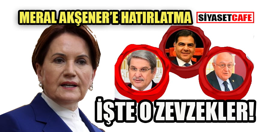 'Bu bir zevzekliktir' diyen Akşener kendi partisine bakıyor mu?