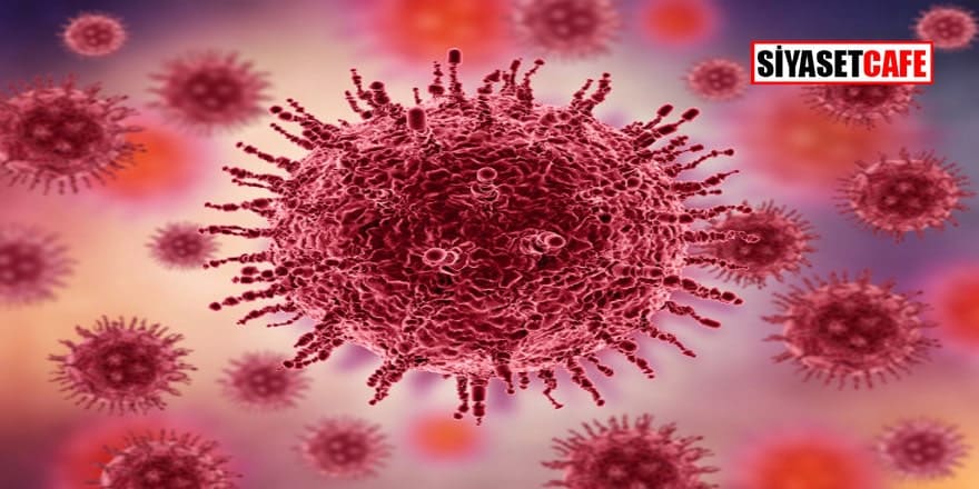 Dünyayı korkutan Corona Virüsü nedir? Hangi hastalıklara sebep olur?