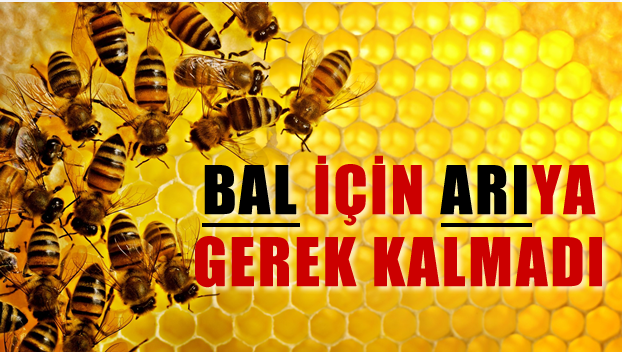 Bal için arıya da gerek kalmadı!