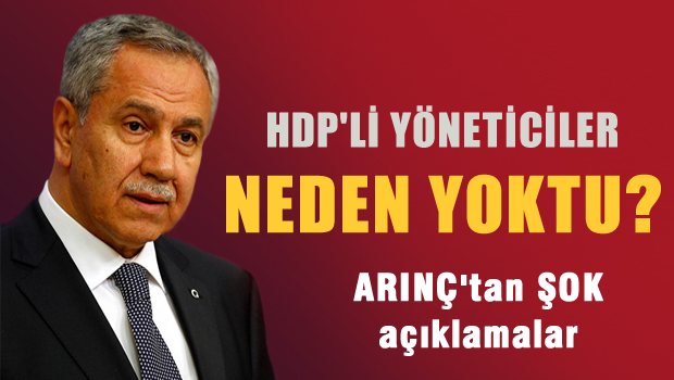 Arınç: HDP'li yöneticiler neden o grubun içinde yoktu?