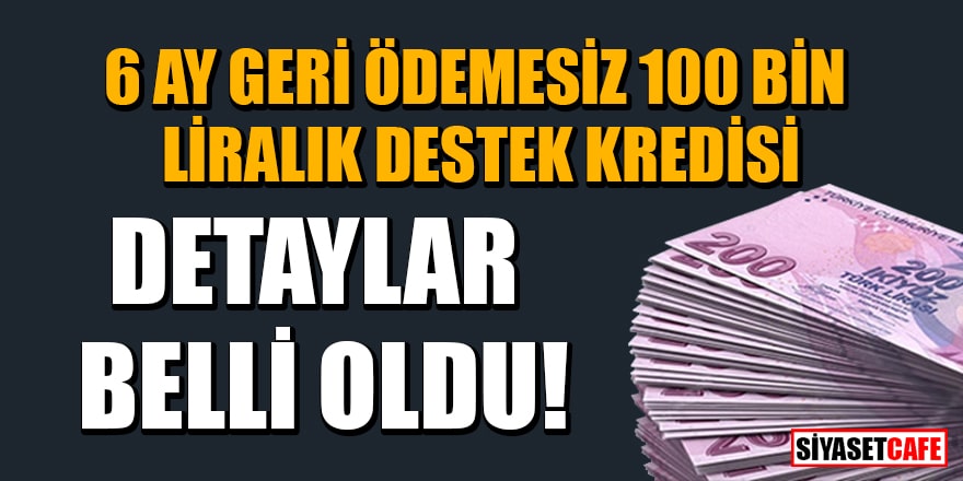 6 ay geri ödemesiz 100 bin liralık destek kredisinin detayları belli oldu!