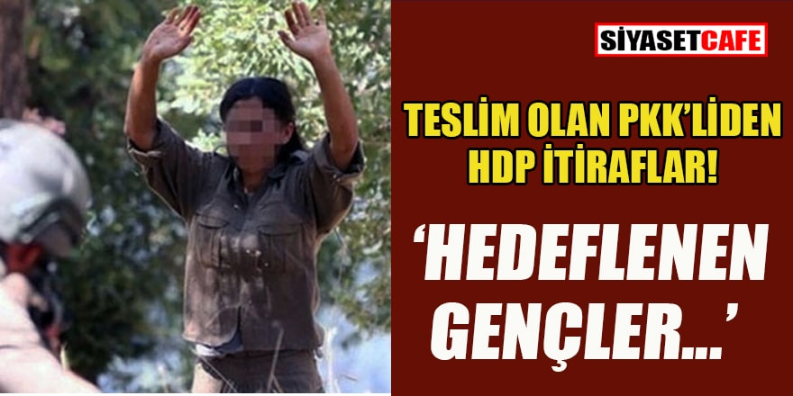 İkna edilerek teslim olan PKK'lı teröristten HDP itirafları!