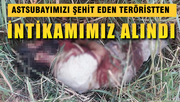 Türk Ordusu böyle intikam aldı