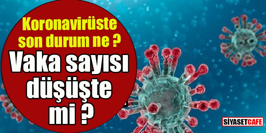 21 Mayıs 2021 koronavirüs tablosu açıklandı