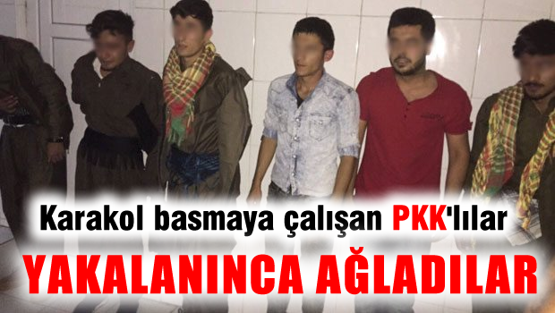 6 PKK'lı karakola girmeden yakalandı