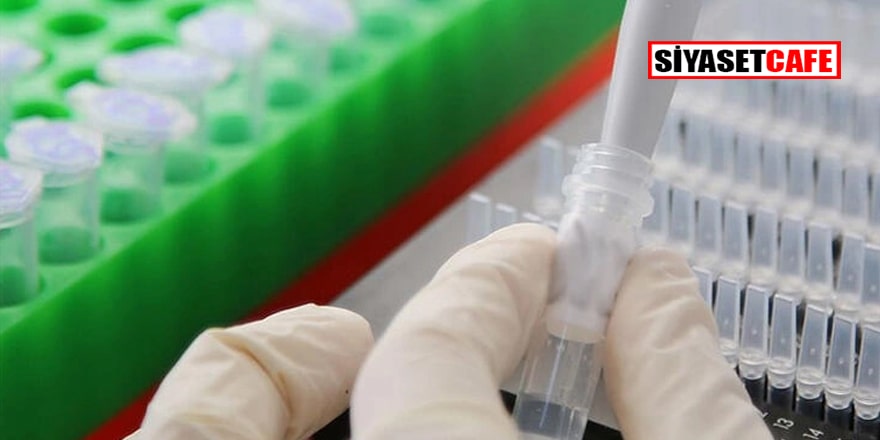 İngiliz profesörden Çin'e koronavirüsü laboratuvarda üretti suçlaması
