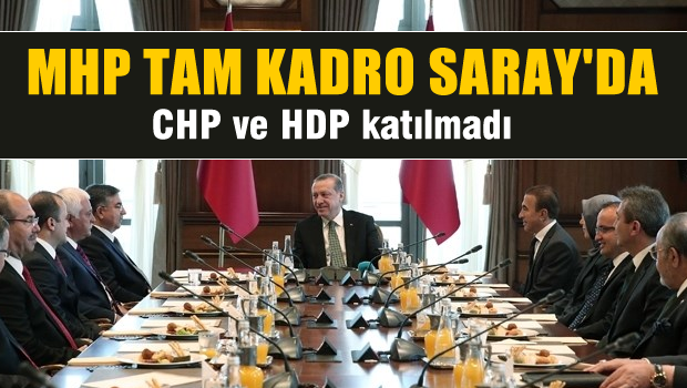 Erdoğan'ı ziyarete CHP ve HDP katılmadı