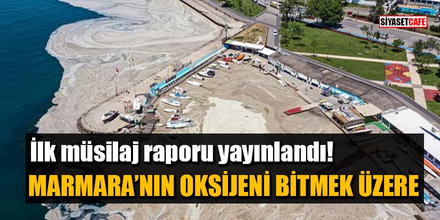 İlk müsilaj raporu yayınlandı! Marmara’nın oksijeni bitmek üzere