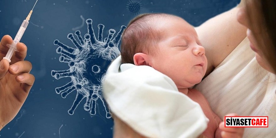 Emziren anneler koronavirüs aşısı olabilir mi?