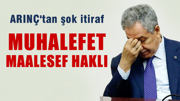 Arınç: Çözüm Süreciyle İlgili Muhalefetin Eleştirileri Haklı