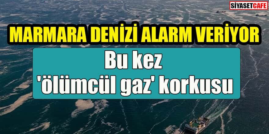 Marmara Denizi alarm veriyor: Bu kez 'ölümcül gaz' korkusu