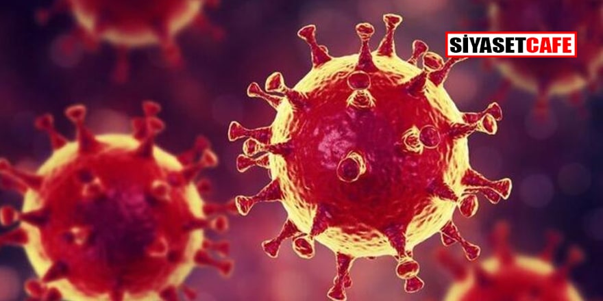Türkiye'de son 24 saattin koronavirüs verileri açıklandı... İşte son durum