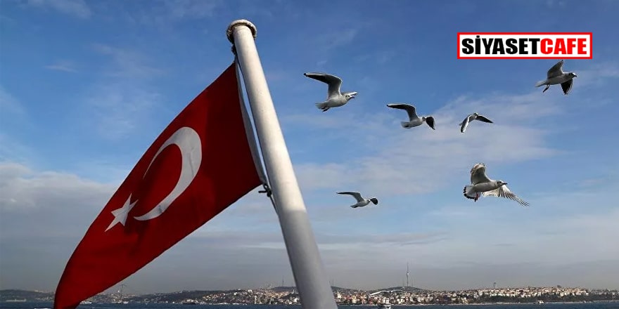 Adana'da bir kadın Türk bayrağını koparıp çöpe attı