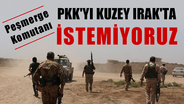Peşmerge komutanı 'PKK'yı Kuzey Irak'ta istemiyoruz'