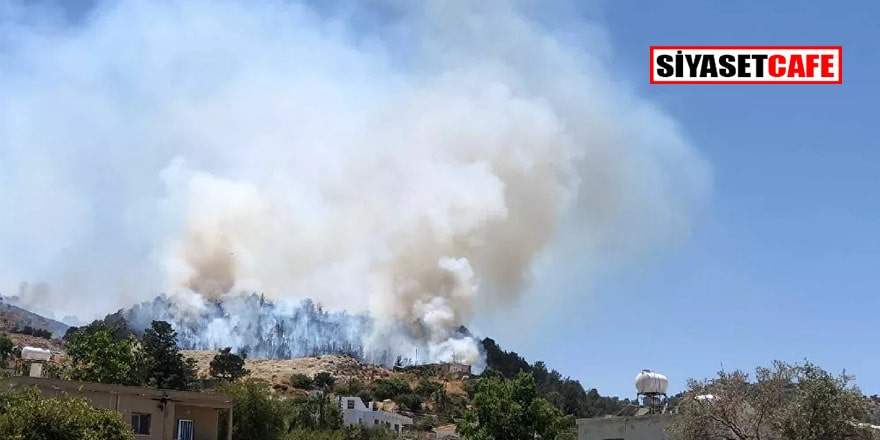 Kuzey Kıbrıs'ta da orman yangını çıktı