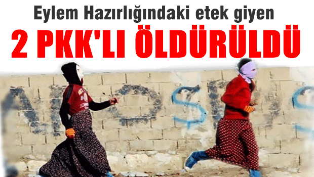 Eylem hazırlığında olan 2 PKK'lı öldürüldü