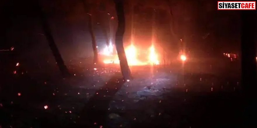 Sabotaj iddiası: Çanakkale'de korkutan yangın