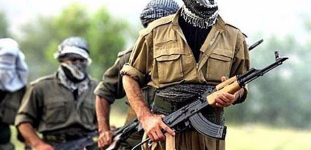 Şırnak'ta 8 PKK'lı teslim oldu