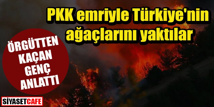 İşte o açıklama: PKK emriyle Türkiye'nin ağaçlarını yaktılar