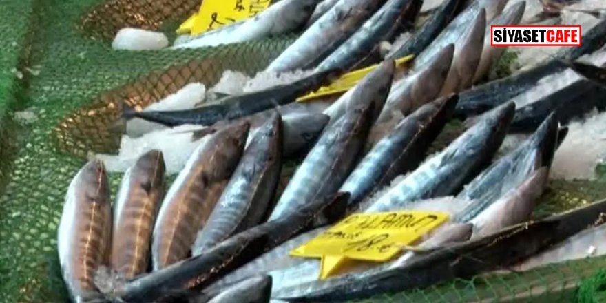 Fiyatlar düştü: Tezgahlar balıkla doldu
