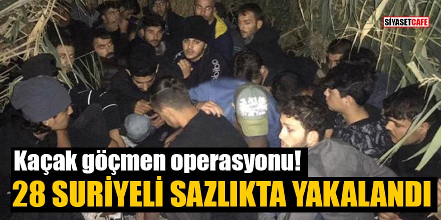 Kaçak göçmen operasyonu! 28 Suriyeli sazlıkta yakalandı