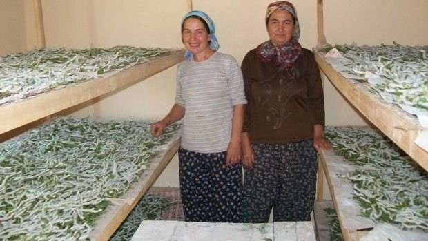 Evde Böcek yetiştirerek 5 bin lira kazanıyorlar