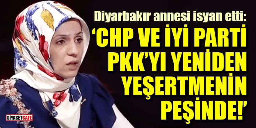 Diyarbakır annesi isyan etti: 'CHP ve İyi Parti PKK'yı yeniden yeşertmenin peşinde'