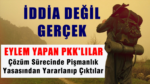 Eylemleri Yapan PKK'lılar Pişmanlık Yasasından Faydalanmış
