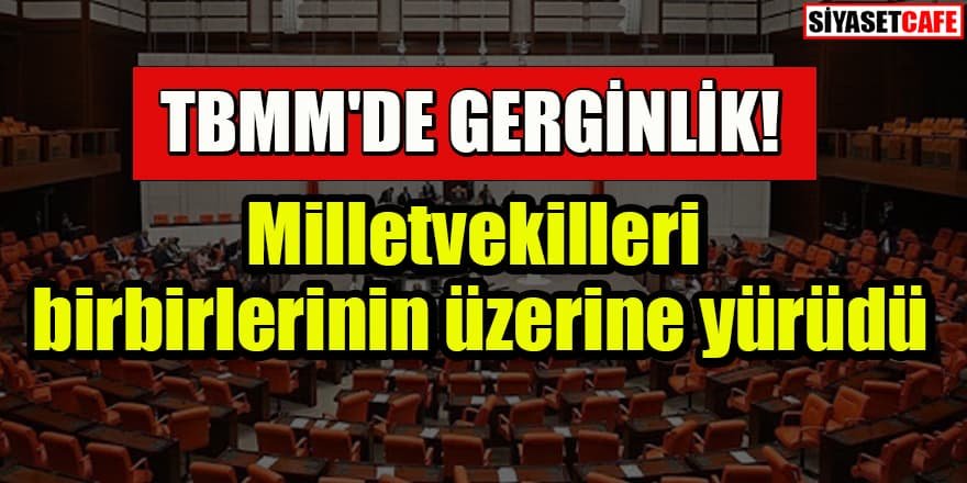 TBMM'de gerginlik: MHP'li Olcay Kılavuz "Demirtaş teröristtir" dedi HDP'liler çıldırdı