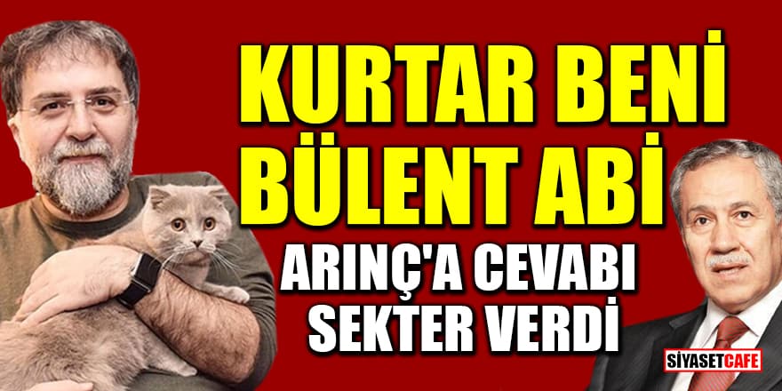 Ahmet Hakan'ın kedisi Sekter'den Bülent Arınç'a yanıt!
