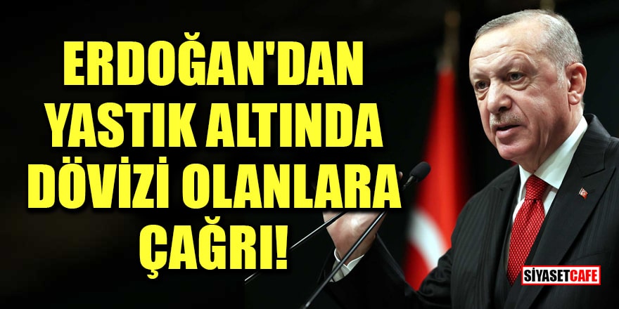 Cumhurbaşkanı Erdoğan'dan yastık altında dövizi olanlara çağrı!