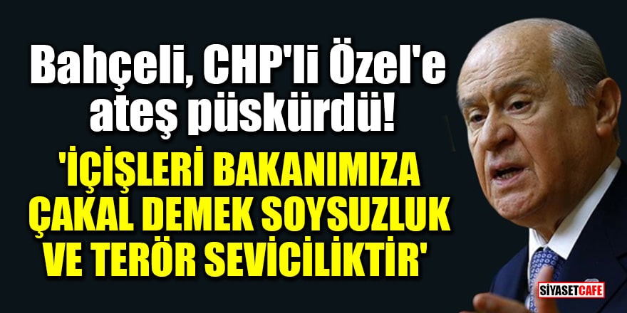 Bahçeli, CHP'li Özel'e ateş püskürdü! 'İçişleri Bakanımıza çakal demek soysuzluk ve terör seviciliktir'