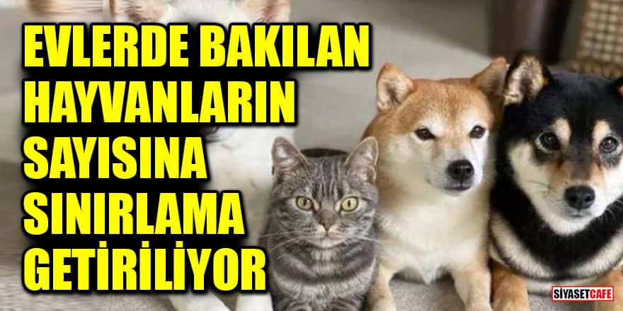 Evlerde bakılan hayvanların sayısına sınırlama getiriliyor