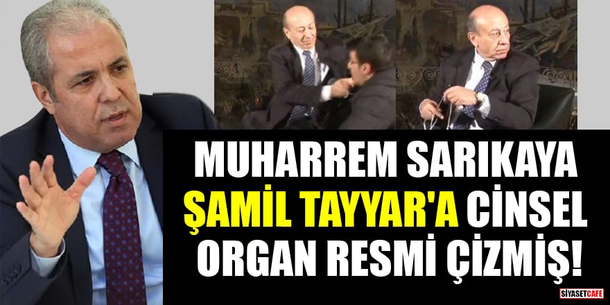 Muharrem Sarıkaya, tazminatını isteyen AK Partili Şamil Tayyar'a cinsel organ resmi çizip vermiş!